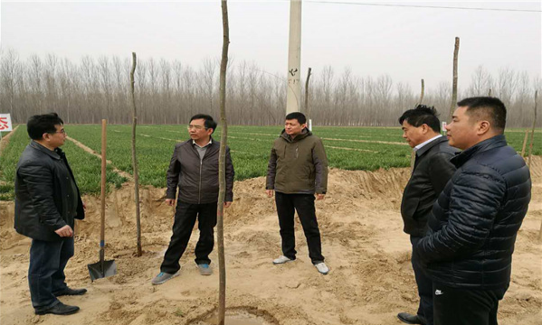 �_ǰ�h�V��ɲ�Ⱥ���e�O�����x��(w��)ֲ����